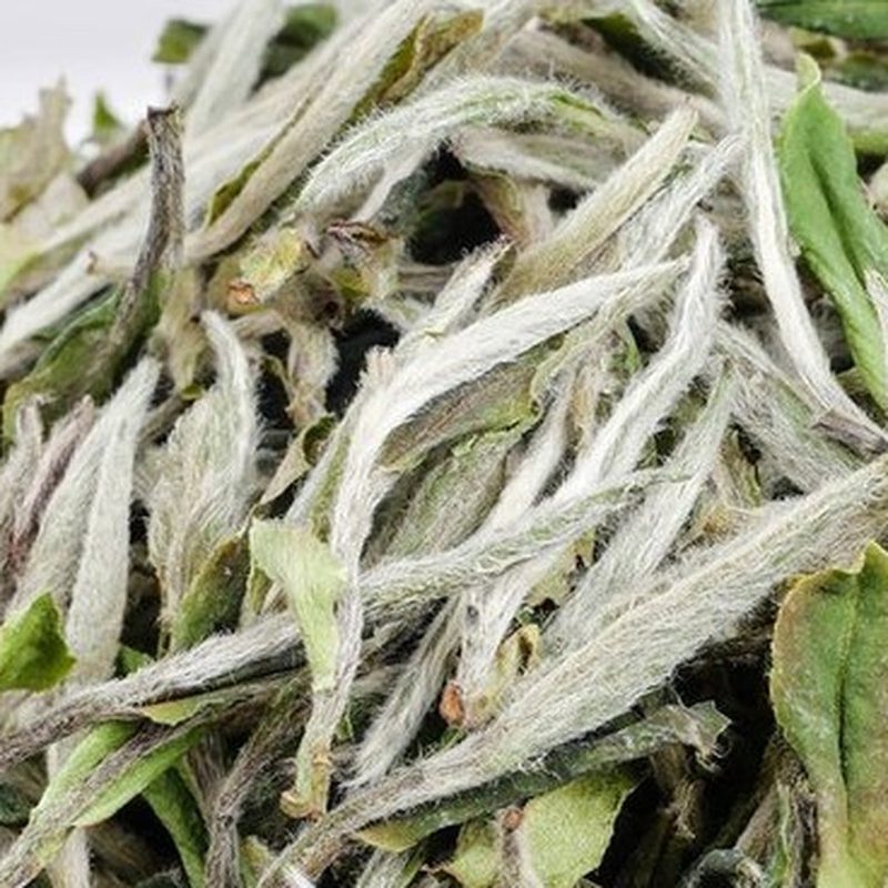 福鼎白牡丹 兰香型 高山干仓散茶 细节图2