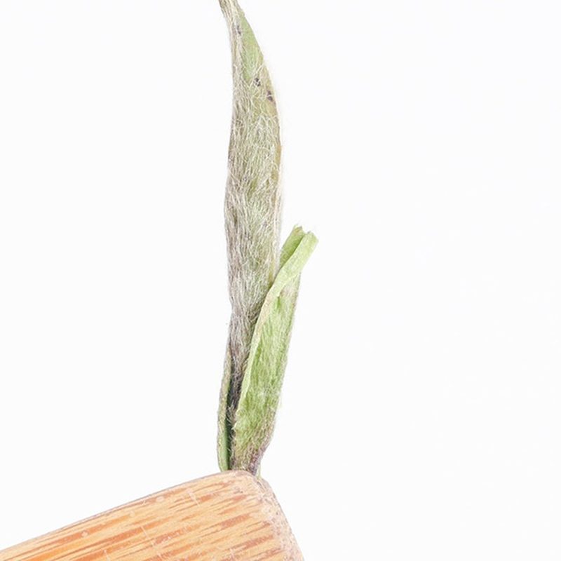 福鼎白毫银针 明前单芽 特写嫩芽 细节图1