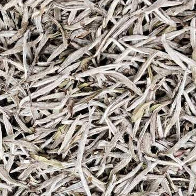 福鼎白毫银针 特级 高山单芽 散茶 细节图2