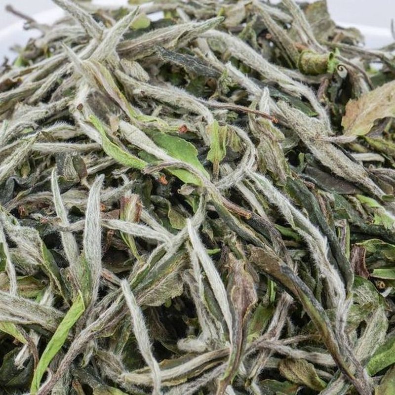 福鼎枞韵白牡丹 2023年 高山散茶 细节图1