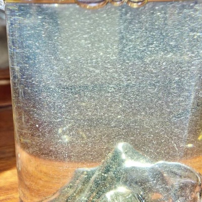 福鼎白毫银针 礼盒装 单芽散茶 细节图1