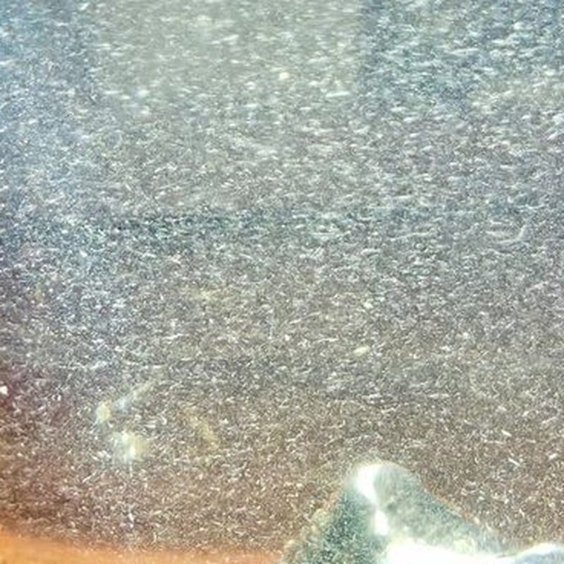 福鼎白毫银针 礼盒装 单芽散茶 细节图2