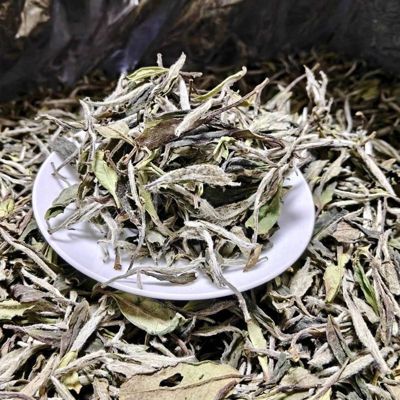 福鼎野韵荒野白牡丹 高山散茶