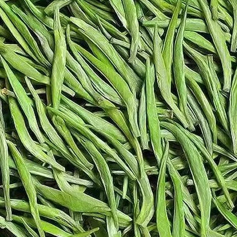 明前雀舌绿茶 嫩芽散装 鲜绿扁平叶 细节图2
