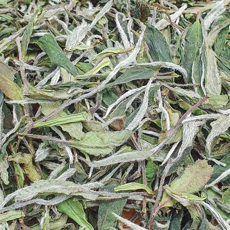 福鼎兰香白牡丹 2026年 磻溪高山散茶 细节图1