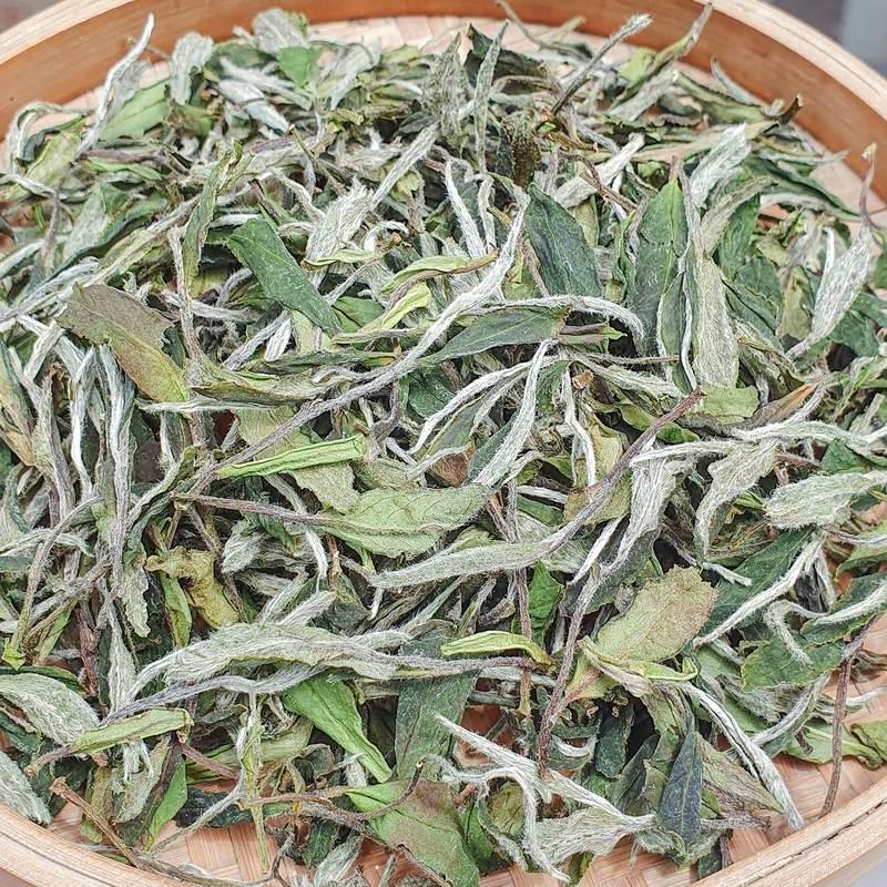 福鼎兰香白牡丹 2026年 磻溪高山散茶