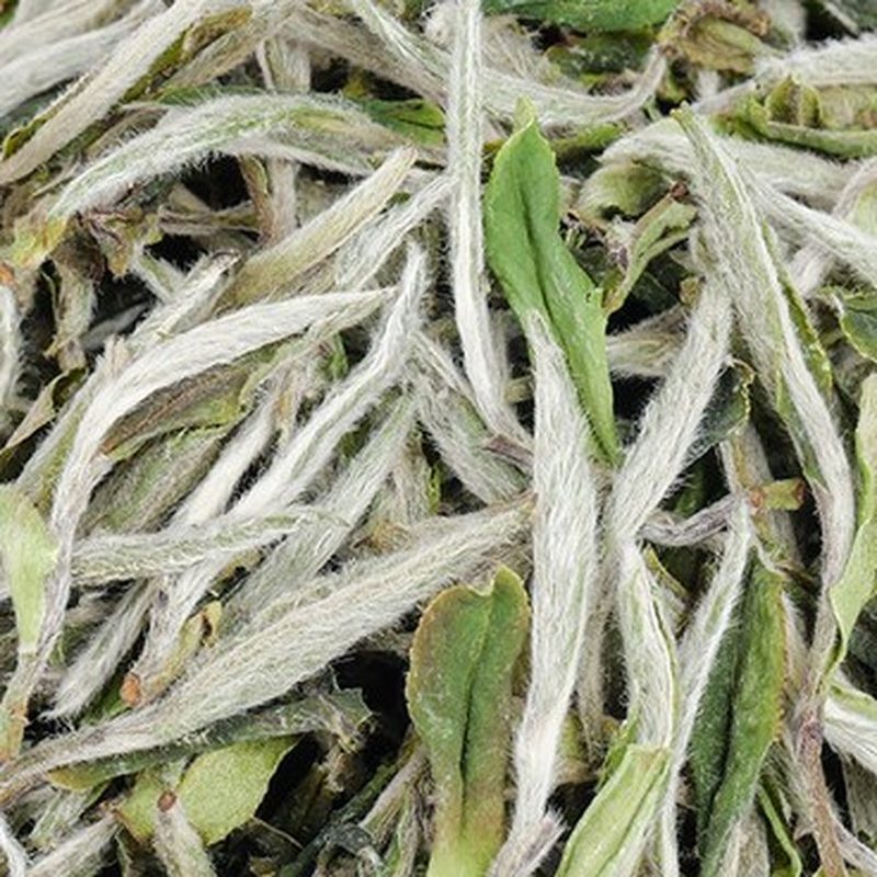 福鼎兰香特级白牡丹 高山散茶 250g 细节图2