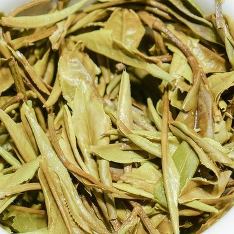 福鼎野韵荒野白牡丹 2023年 管阳高山 细节图2