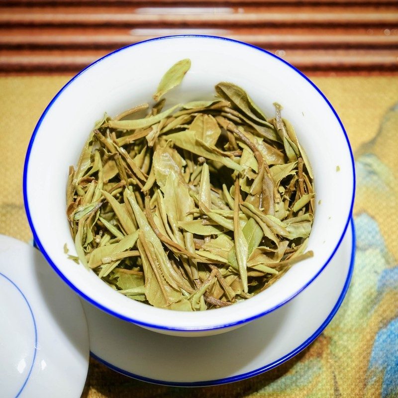 福鼎野韵荒野白牡丹 2023年 管阳高山