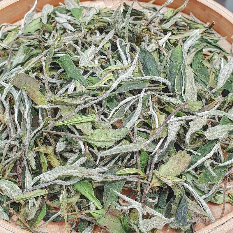 福鼎荒野白牡丹 高山散茶 竹匾晾晒 细节图1