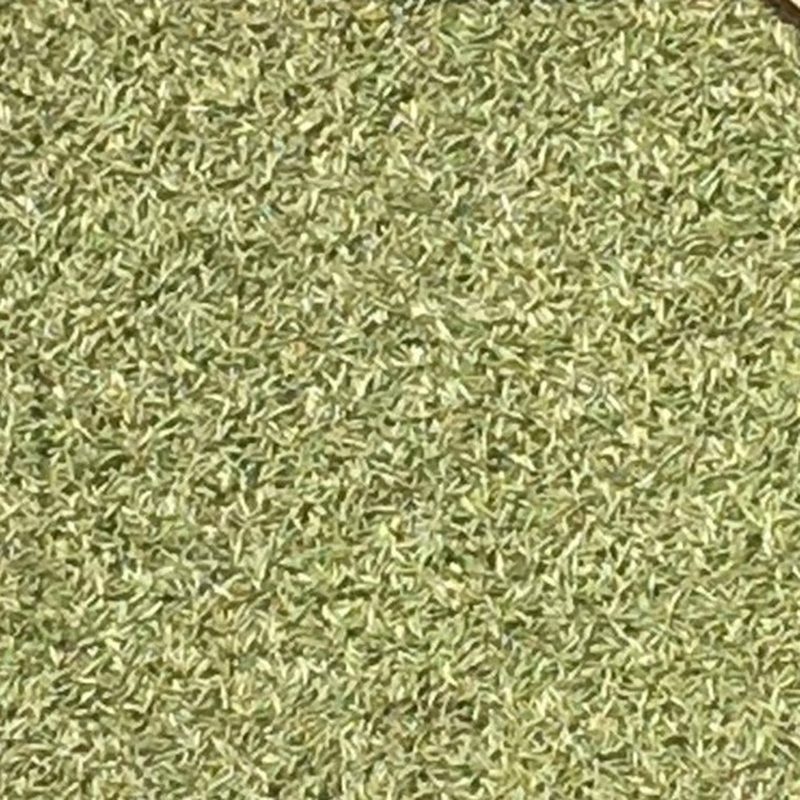 福鼎白毫银针 单芽晾晒 散装干茶 细节图2