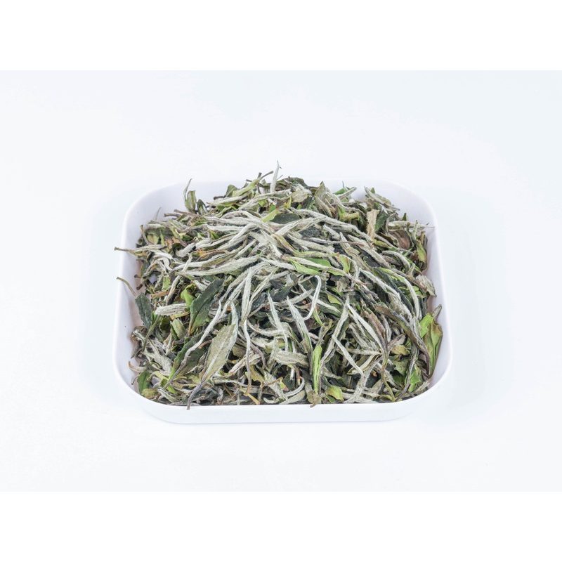 福鼎白牡丹 高山干仓散茶 一芽二叶